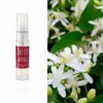 Arbi – Tester
