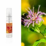 Arbi – Tester